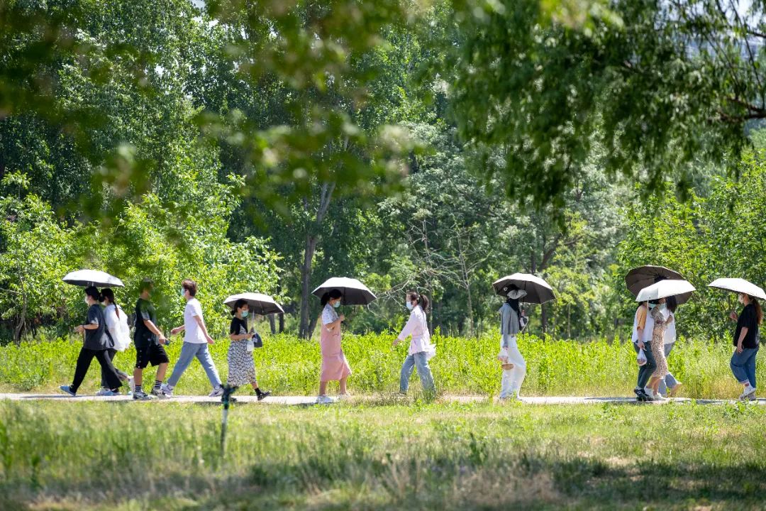 一个摄影老师眼中封闭在校的教学影像记录