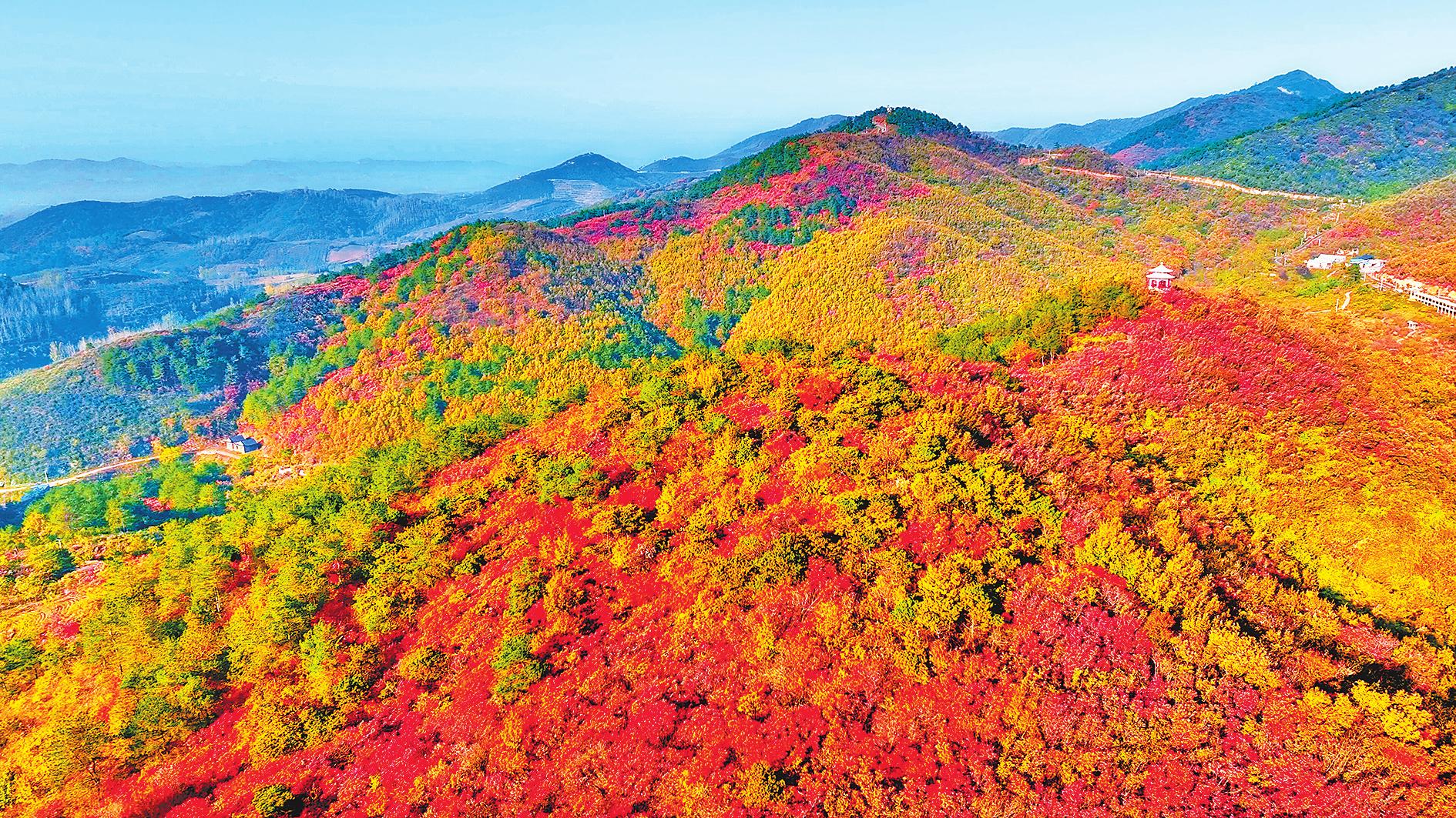 桐柏县黄岗红叶景区图片