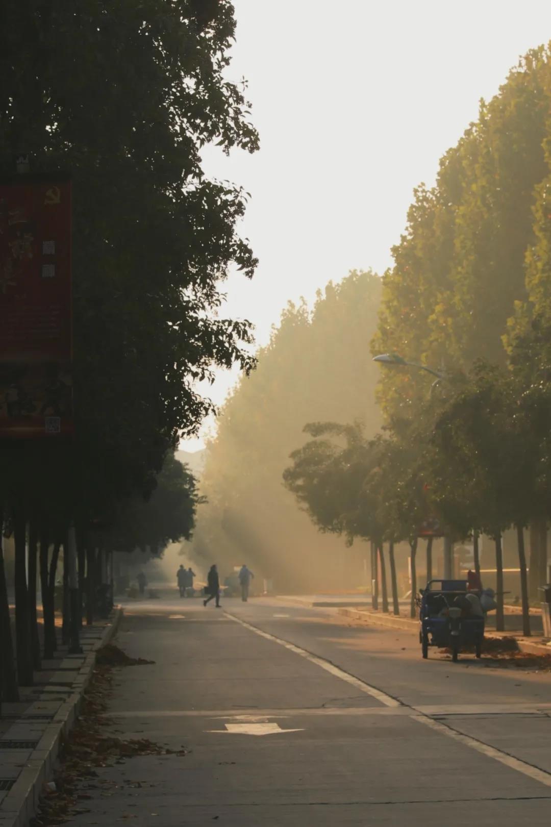 河南高校的晨曦之美