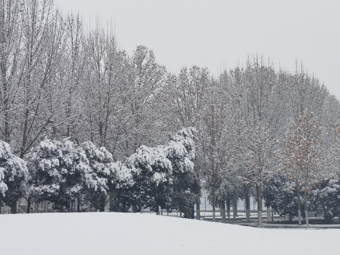 白鹭洲中学雪景图片