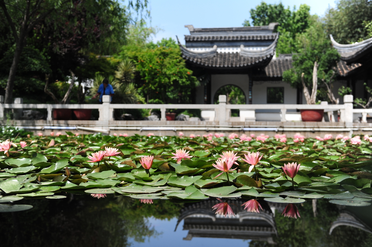 【行走河南·读懂中国】中牟：端午节假日推出沉浸式主题游线路