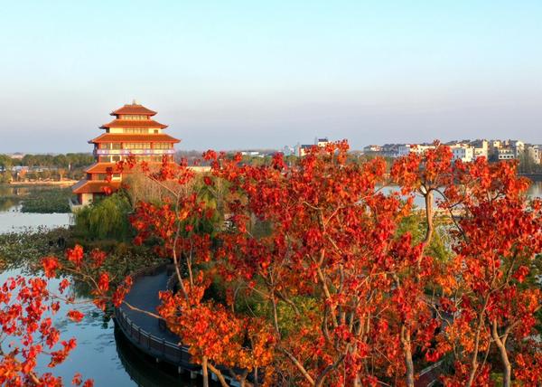 Picturesque Xinyang in Early Winter