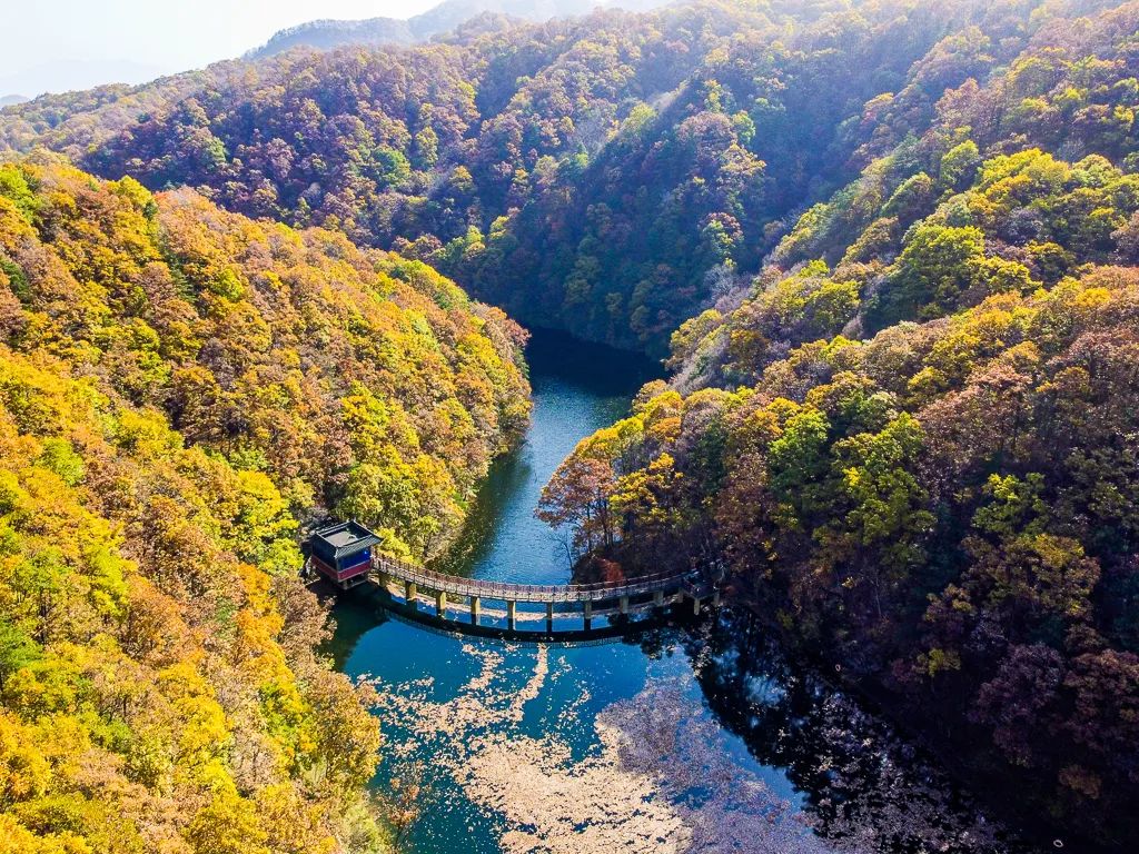 【行走河南·读懂中国】10月1日-31日 洛阳白云山对全国游客免门票