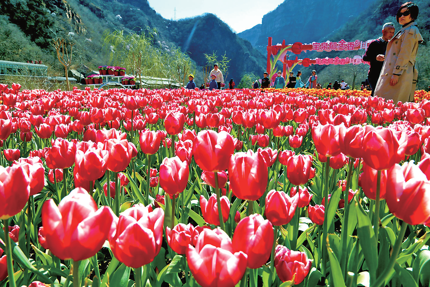 7cb9505b6262c69d8bf6402b74503e82?p=0