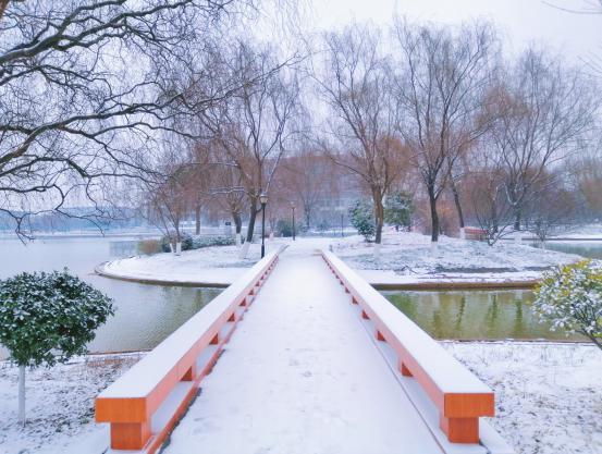 河北民族师范学院雪景图片