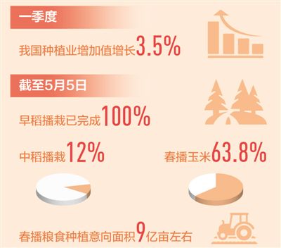 粮仓更稳固 菜篮更丰富全国春播进度快于往年，早稻播栽全部完成