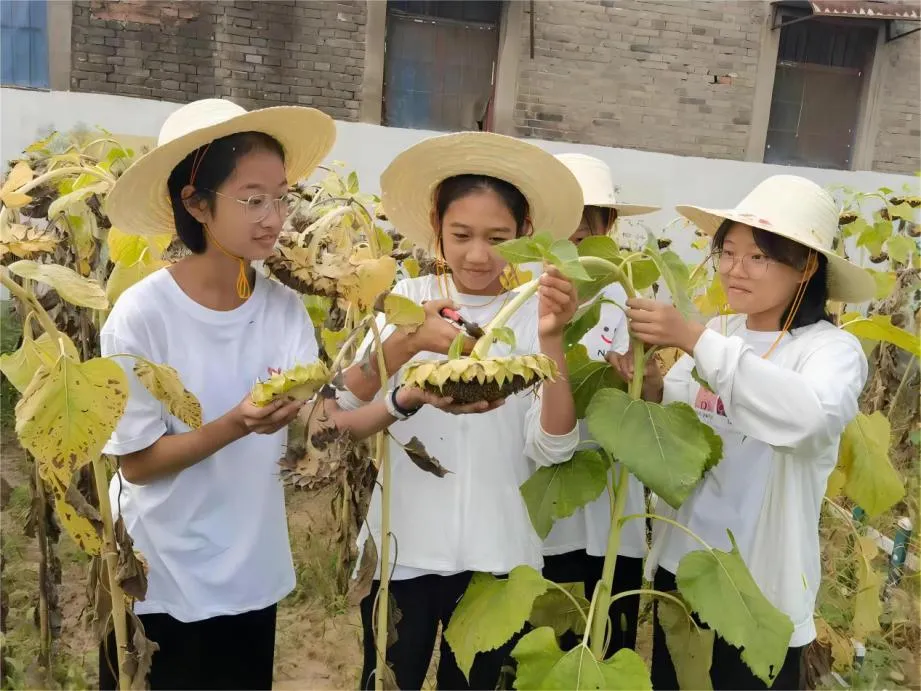 三门峡市城乡一体化示范区大王镇第一初级中学：在日常中传承，在平凡中出彩