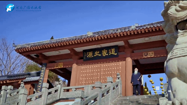 【行走河南·读懂中国】九曲黄河浪淘沙 天鹅蹁跹三门峡