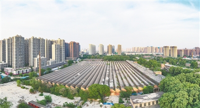 【行走河南·读懂中国】从工业脊梁到文创乐园——郑州城区老厂房的涅槃
