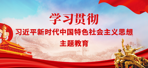 学习贯彻习近平新时代中国特色社会主义思想主题教育