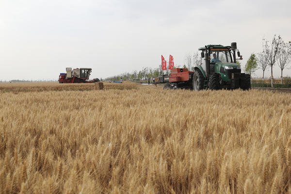 王国生到周口市调研“三夏”工作 认真学习贯彻全国两会精神 坚决扛牢国家粮食安全责任
