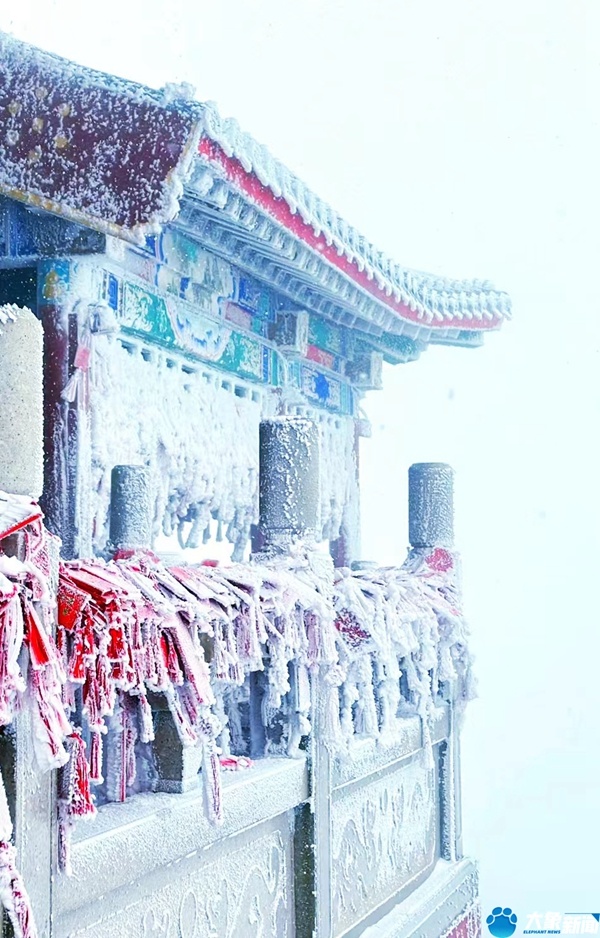 行走河南·读懂中国 | 漫山玉树琼枝 春雪妆点伏牛山主峰