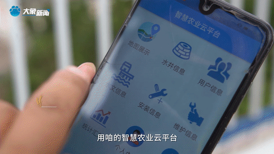 听，风吹麦浪！看，中原大地颗粒归仓！