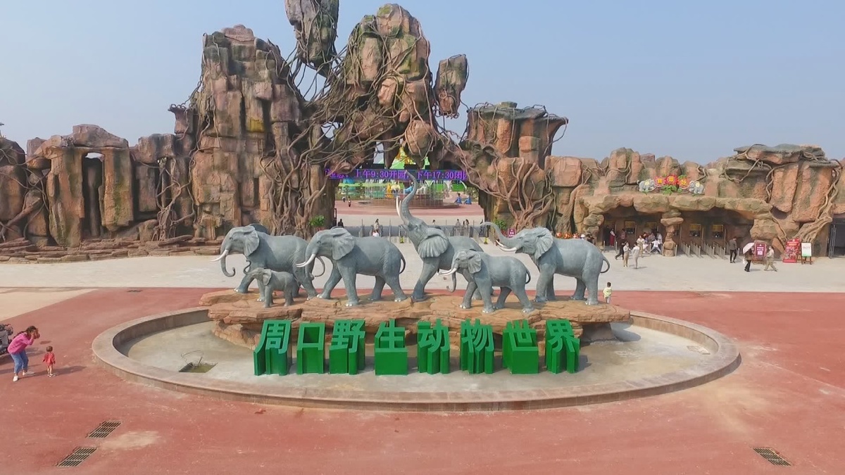 周口野生动物世界 杨宇 摄记者在周口野生动物世界看到,许多家长带着