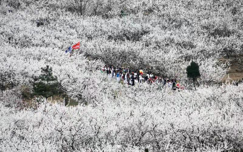 永城芒砀山：文旅融合为乡村振兴蓄势赋能