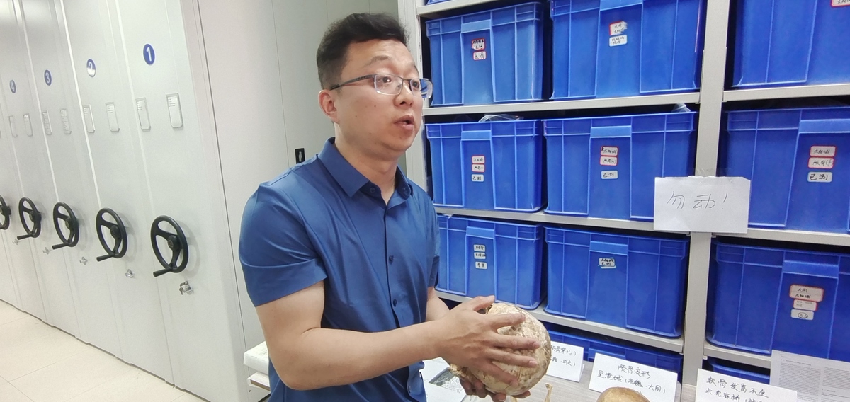 文明探源 出彩中原丨双槐树男人“不干活”，<br>听人骨告诉你的三两事