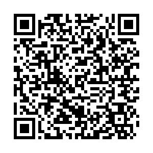河南省营业性演出准予许可决定（410000522023000208）