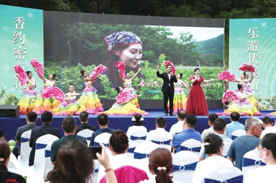 行走河南·读懂中国丨新密：用一朵花撬动乡村文旅大市场