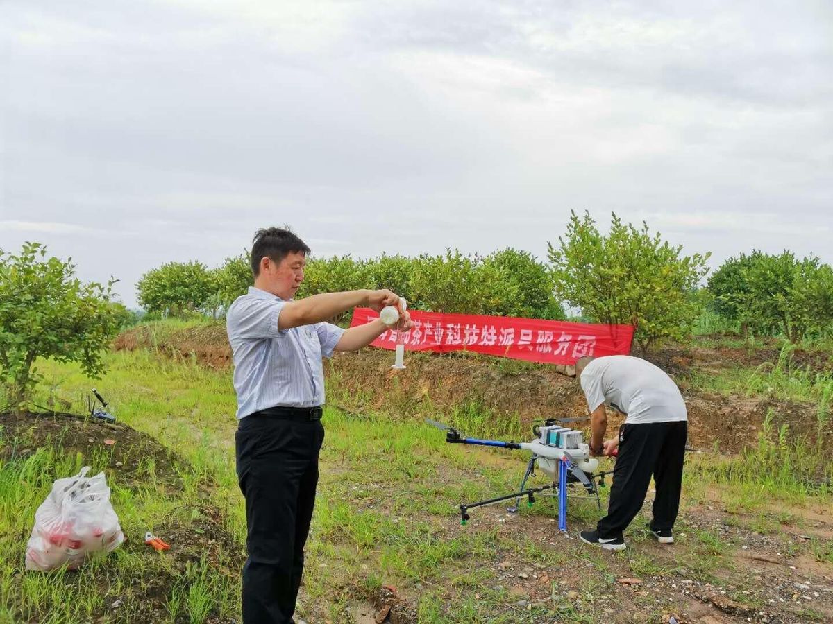 河南省林科院油茶专家开展技术帮扶活动