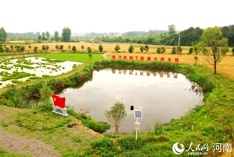 【行走河南·读懂中国】光山东岳村：多彩田园更出彩