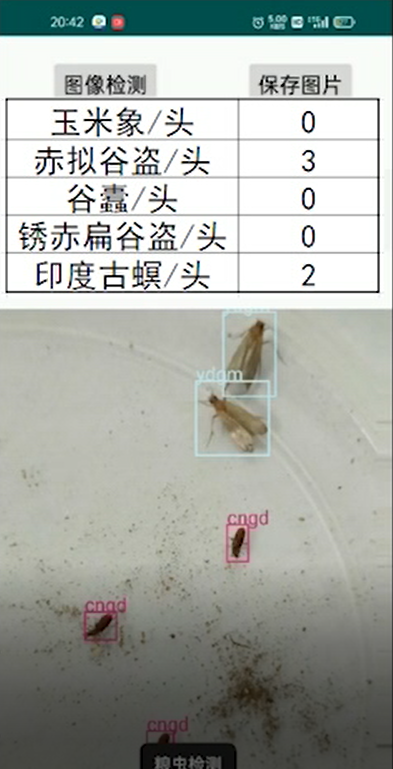 储粮害虫在线识别系统