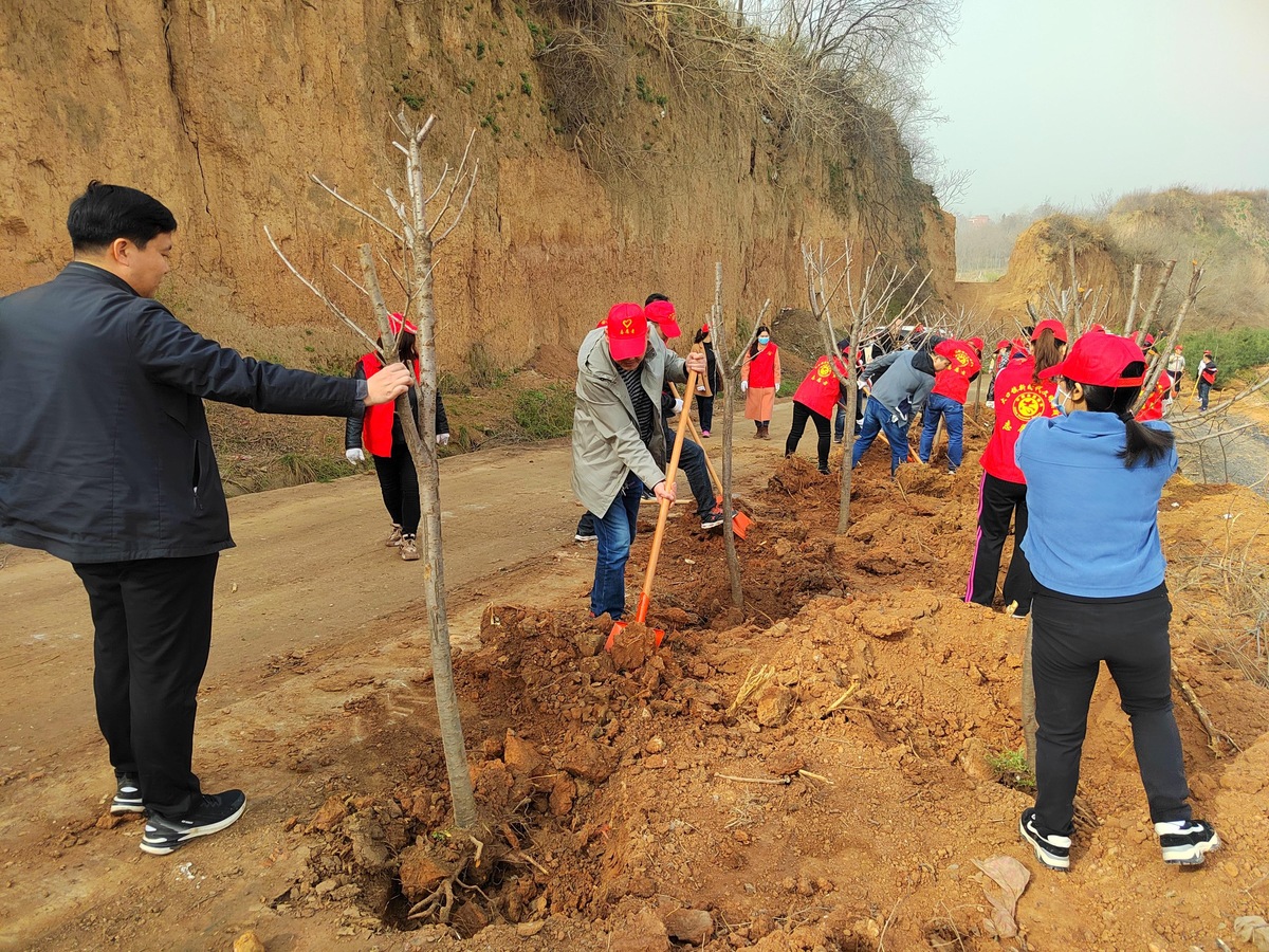 洛阳市偃师区大口镇开展义务植树活动