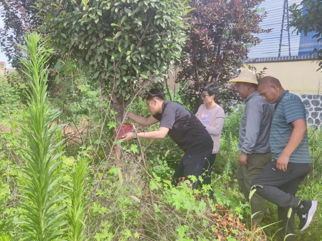 安阳审计：夏日炎炎斗酷暑 为民审计不停步