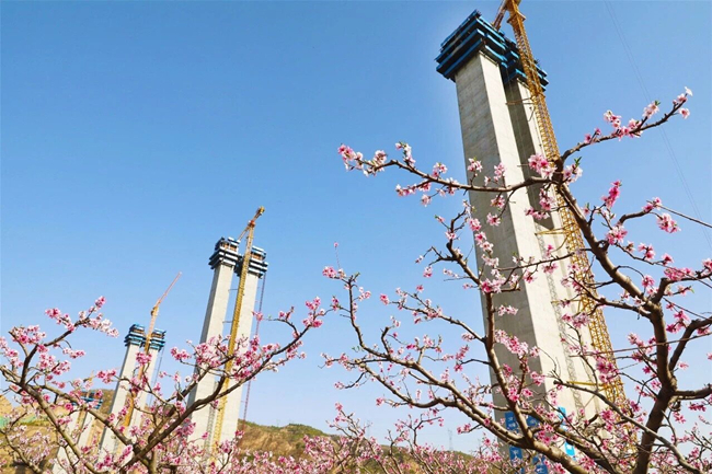 TIM图片20190402093036.jpg