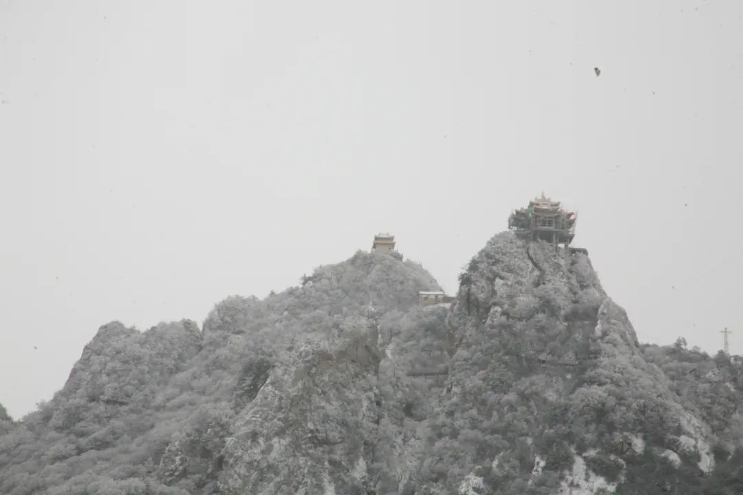 穿越时间长河，云赏老君山历年雪景