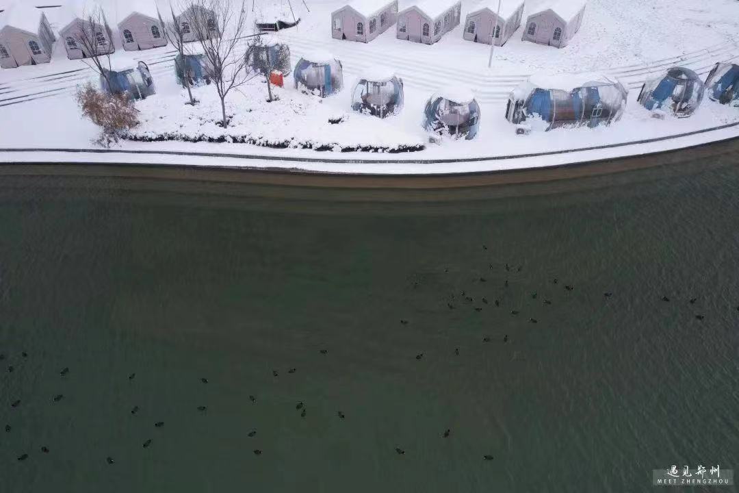大地披银装，沉浸式体验郑州雪景