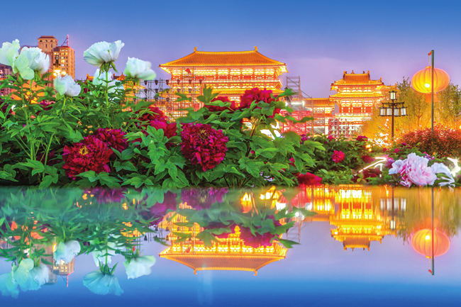 辉煌百年路 花开新征程 ——写在第39届中国洛阳牡丹文化节开幕之际