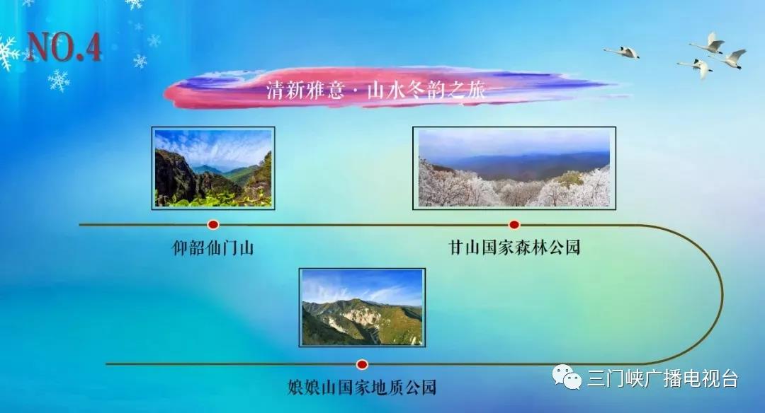 【行走河南·读懂中国】河南人游河南，2021三门峡白天鹅旅游季正式启动