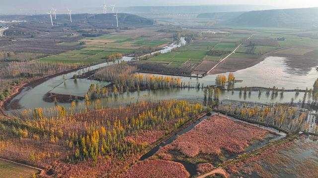 【行走河南·读懂中国】灵宝:守好黄河湿地 共享美丽生态 【行走河南·读懂中国】灵宝:守好黄河湿地 共享美丽生态