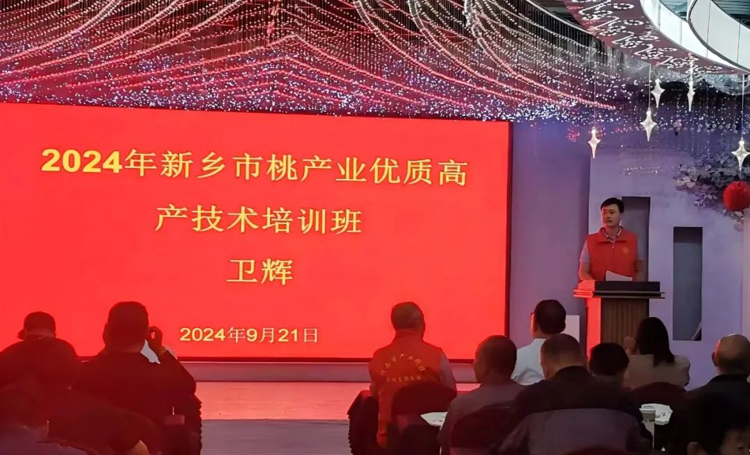 屏幕截图 2024-09-24 083654.jpg.jpg