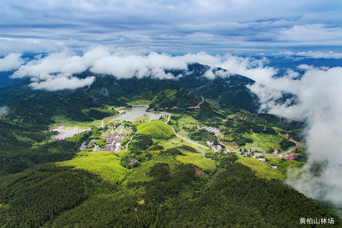 國(guó)有林場(chǎng)