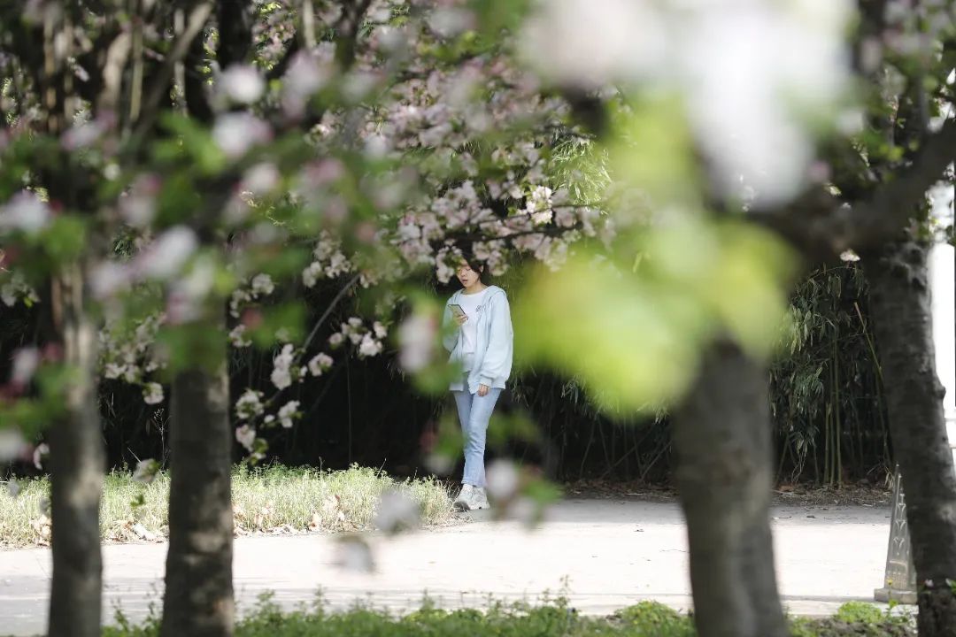 一个摄影老师眼中封闭在校的教学影像记录