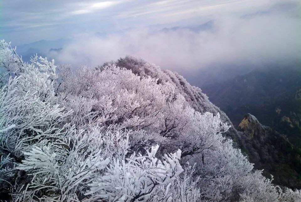 穿越时间长河，云赏老君山历年雪景