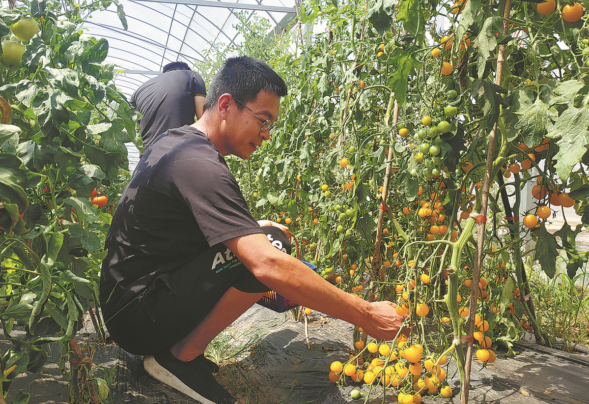 China Leads World in Fruit Production