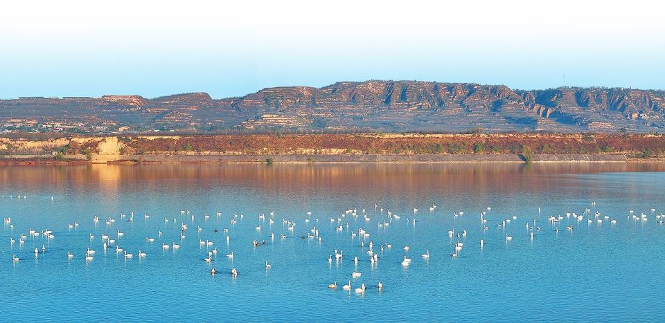 风景如画的黄河三门峡段