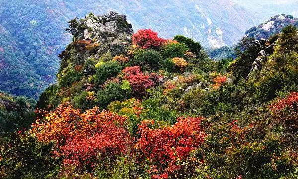 最美秋景不过枫叶红，巩义市实践“四美”战略 发展全域旅游插图1