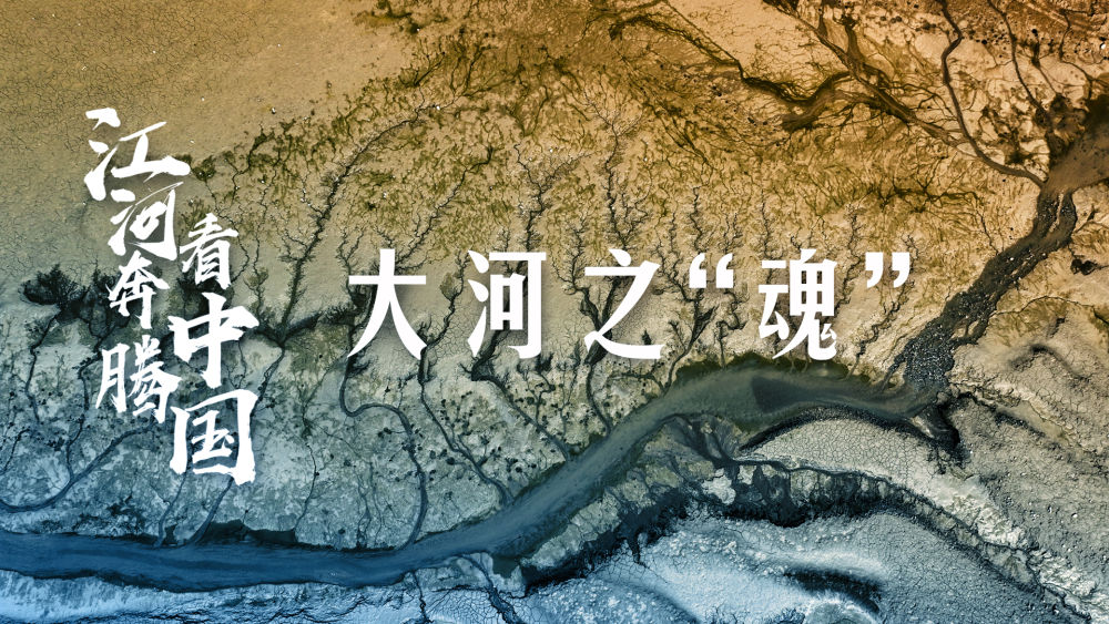 【行走河南·读懂中国】江河奔腾看中国：大河之“魂”