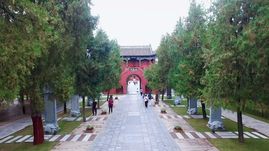 周口市淮阳区太昊陵古侧柏群位于太昊陵景区.