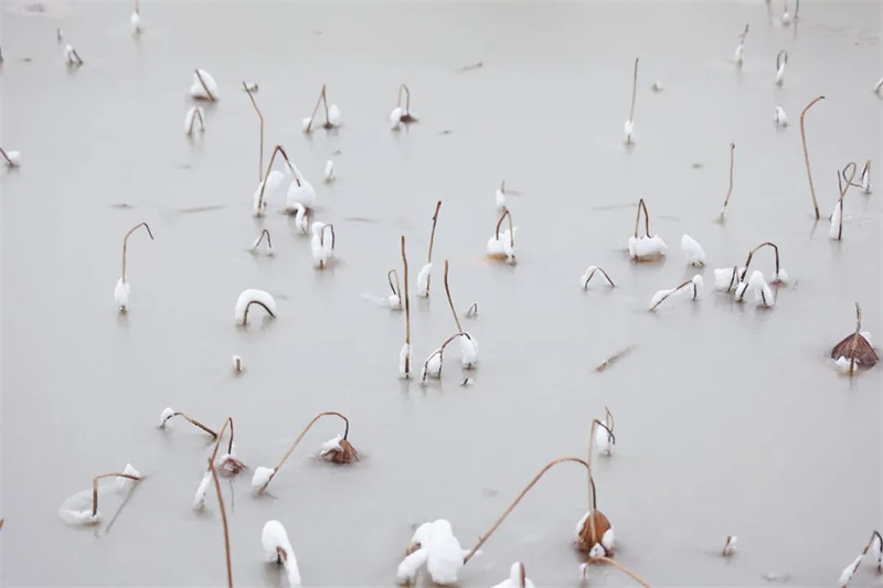 雪在黃河邊落成一幅畫