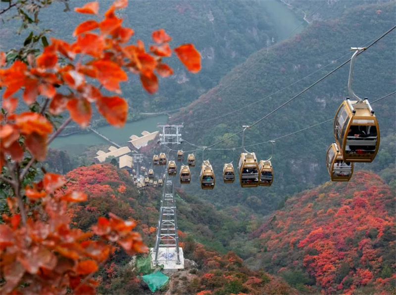 央视再次聚焦云台山！假期第6天，焦作市接待游客9.64万人次