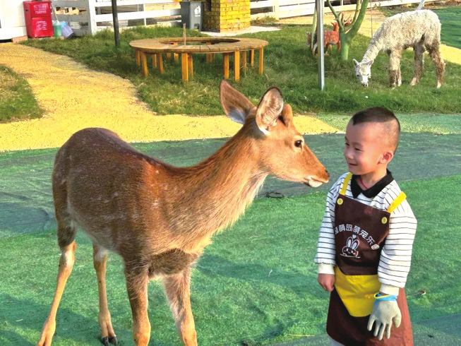 “˫”ڼ䣬Դг׳ʡ