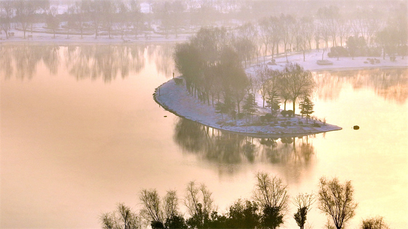 兰考：湿地雪韵美如画
