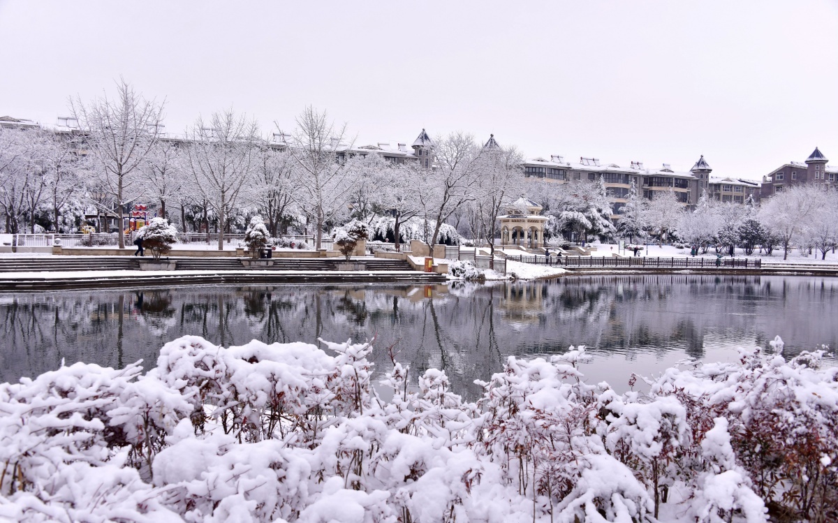 鹤壁：大地披银装，雪后画意浓
