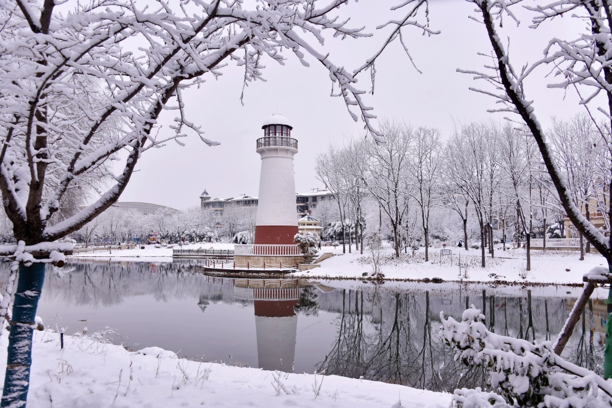 鹤壁：大地披银装，雪后画意浓