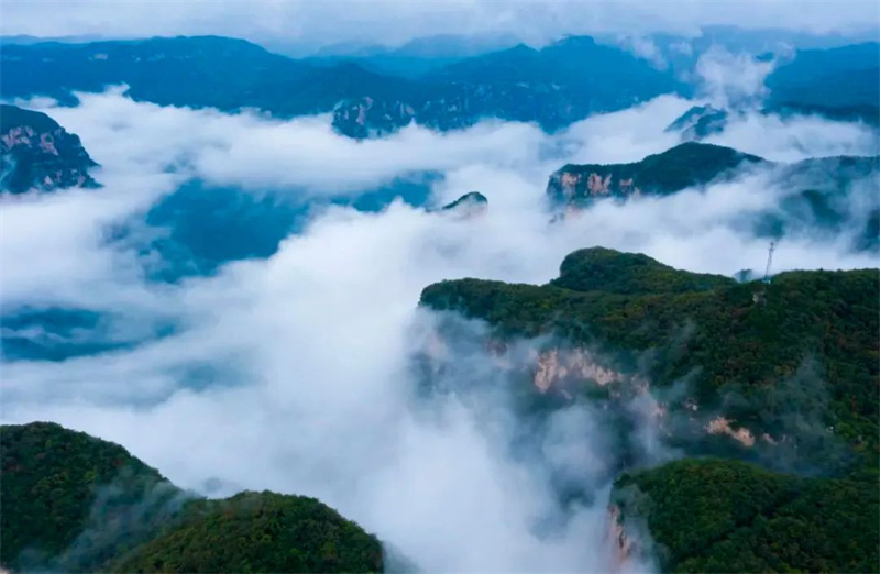 假期第二天，云台山壮美云海景观登上央视