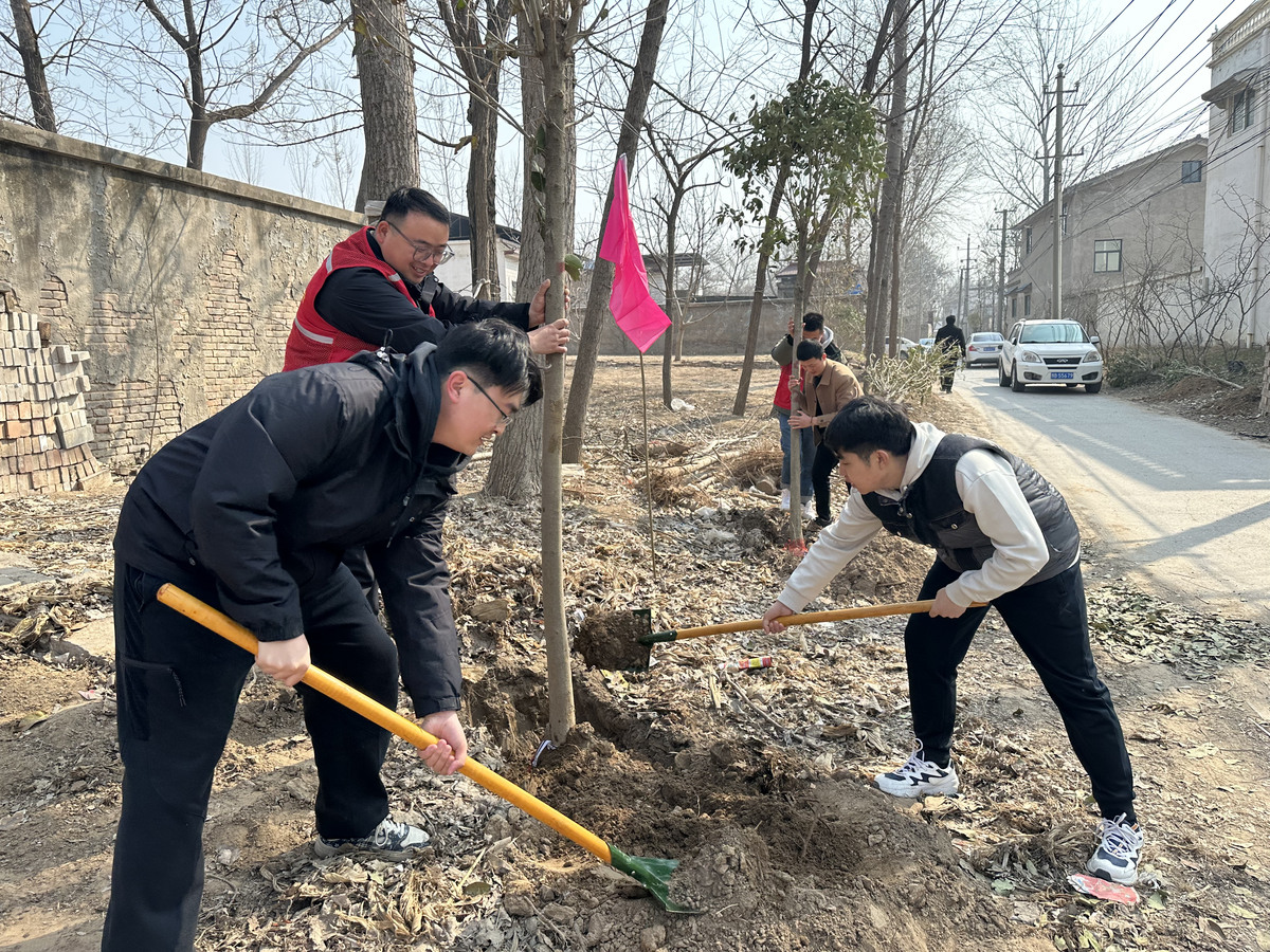 春来万物苏 植树正当时——开封市审计机关开展春季义务植树活动